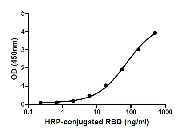 Binding ability measured in a functional ELISA. 2019-nCoV RBD (L452R, E484Q) binds to immobilized human ACE2 (19-740) protein.